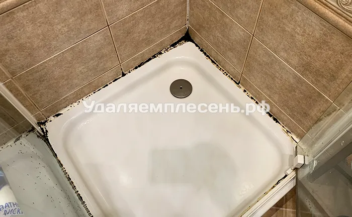 Замена герметика на&nbsp;душевом поддоне / подиуме