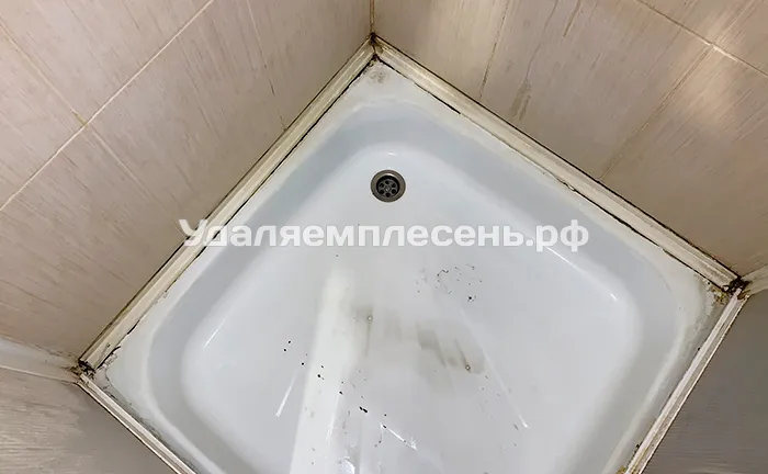 Замена герметика и&nbsp;установка пвх&nbsp;плинтуса на&nbsp;душевой поддон / подиум