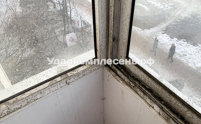Удаление плесени на&nbsp;окнах балкона&nbsp;/&nbsp;лоджии