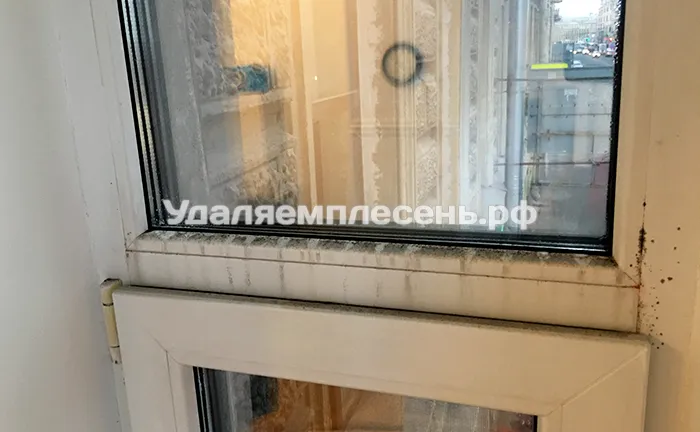 Удаление плесени на&nbsp;окнах