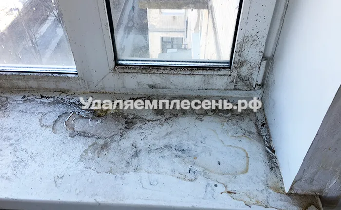 Удаление плесени на&nbsp;подоконнике