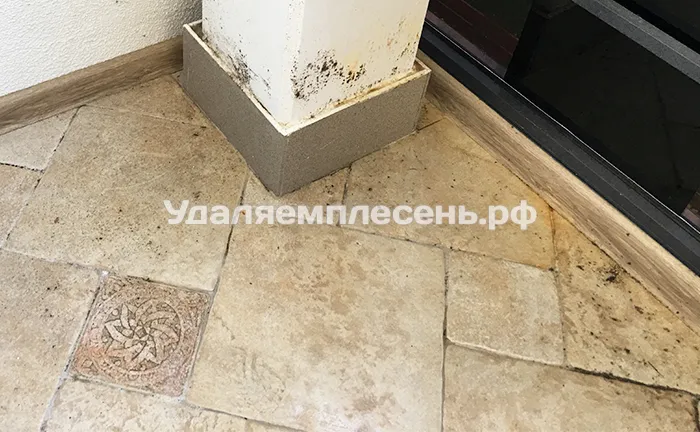 Удаление плесени на&nbsp;полу балкона&nbsp;/&nbsp;лоджии