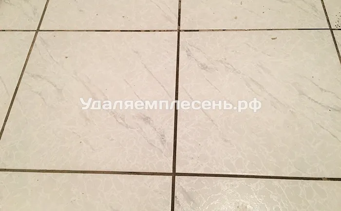Удаление плесени на&nbsp;полу в&nbsp;ванной