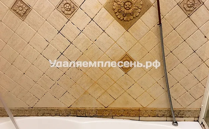 Удаление плесени на&nbsp;стенах и&nbsp;швах в&nbsp;ванной