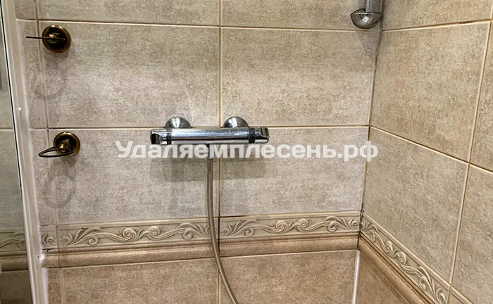 Удаление плесени на&nbsp;стенах, поддоне и&nbsp;стеклах в&nbsp;душевой