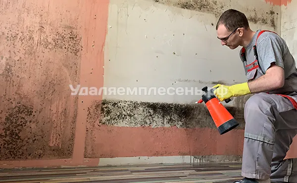 Эдуард удаляет плесень на стене в комнате