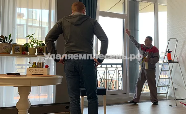 Владимир консультирует заказчика